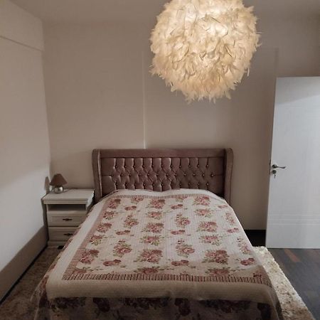The Unique Apartment Roşu Eksteriør billede