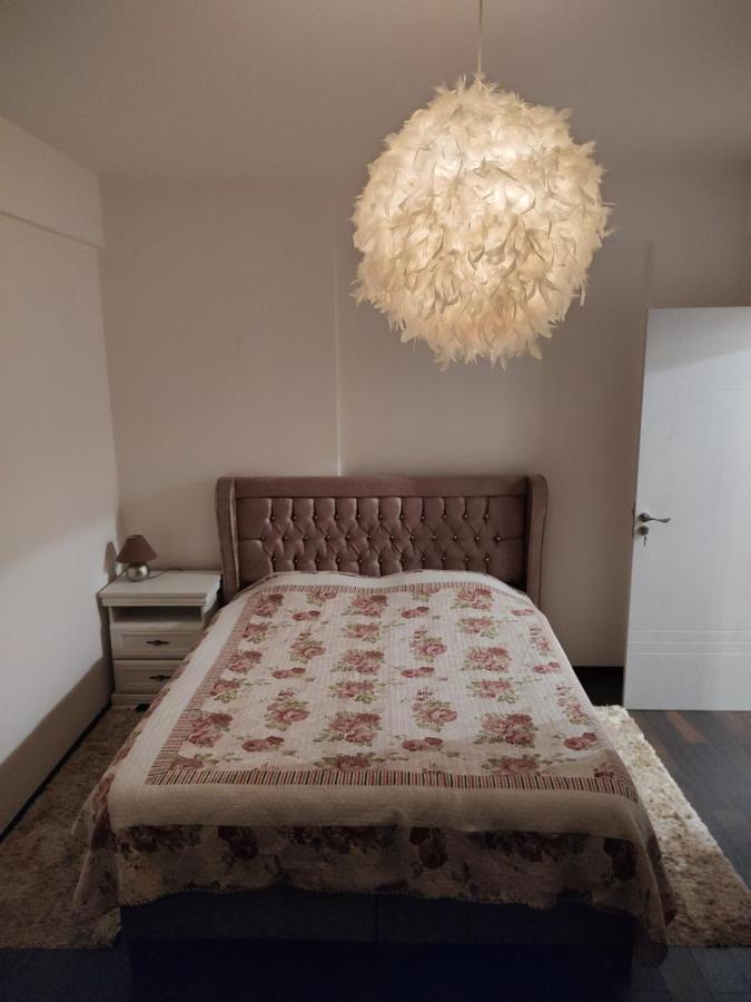 The Unique Apartment Roşu Eksteriør billede